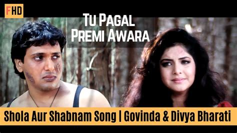 Tu Pagal Premi Awara Govinda And Divya Bharati Shola Aur Shabnam