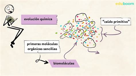 Origen Y Evoluci N De Los Seres Vivos Biologia Secundaria