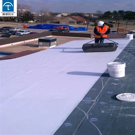 Waterproof Building Materials Tpo Sheets Waterproofing Plastic Membrane