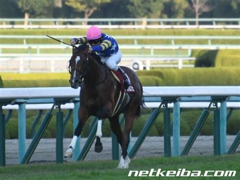 【朝日杯fs予想】出走馬のタイム指数ランキング！2歳マイル王決定戦に有力馬が集結！ 競馬まとめ Netkeiba