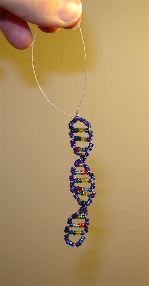 double helix dna model : Biological Science Picture Directory ...