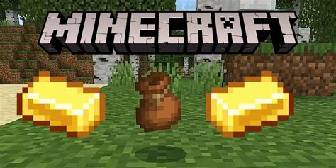 Minecraft Officially Reveals Biome, Details Bundles of Bravery Update