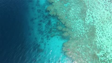 A birds eye view of the sea and coral reef underwater. Shot shows a ...