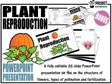 Plant Reproduction Powerpoint Presentation Teaching Resources