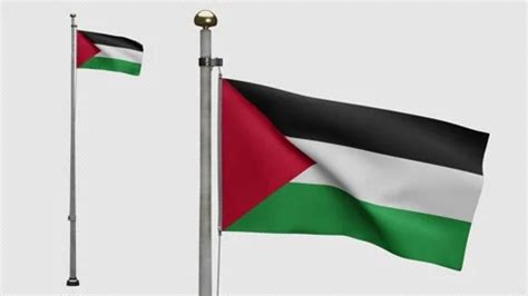 3D Alpha Channel Palestinian Flag Wavin Stock Video Pond5