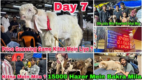 Deonar Bakra Mandi Day 7 Latest Update 11 June 2024 Prices Guessing