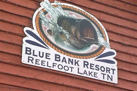 Reelfoot Lake Fishing: Best Packages, Spots, and More - Lake Access