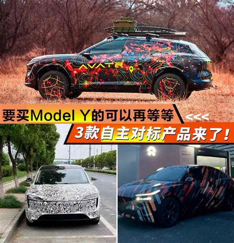 要买model Y的可以再等等，3款自主对标产品来了！