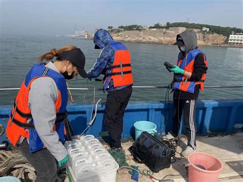 上半年，崂山近岸海域水质优良率100人民号