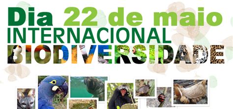 Dia Internacional Da Biodiversidade 22 De Maio CGTP IN