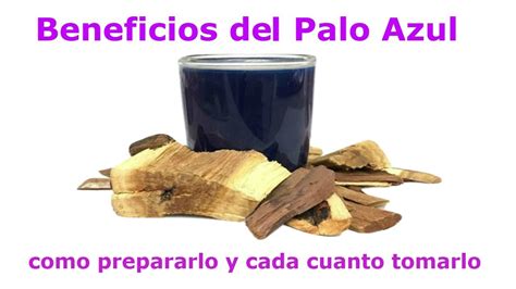 Beneficios Del Palo Azul Para La Salud Y Bienestar