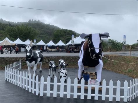 首屆桃園鮮奶節今開幕 小牛、牧草卷及農事體驗超好玩 旅遊 聯合新聞網