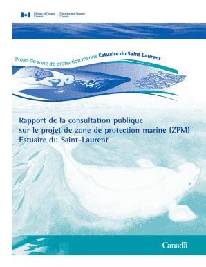 Remplissable En Ligne Waves Vagues Dfo Mpo Gc Rapport De La