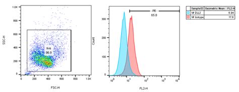 293T DLL3 Cell Line Kyinno Bio