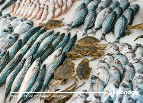 jenis ikan  hasil laut indonesia  diminati pasar