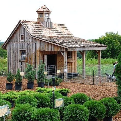 Over 25 Adorable Chicken Coops Sweet Southern Blue Walk In Covent Garden Construction D Un