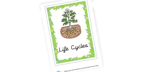 Life Cycles Topic Book Cover L Enseignant A Fait Twinkl