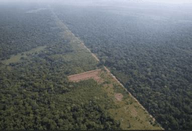 De La Reserva Forestal El Chor Solo Queda El Nombre El Mundo