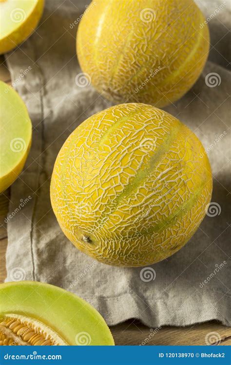 Raw Organic Lemon Drop Melon Stock Photo - Image of honey, slice: 120138970