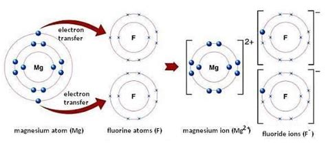 Magnesium fluoride - Alchetron, The Free Social Encyclopedia