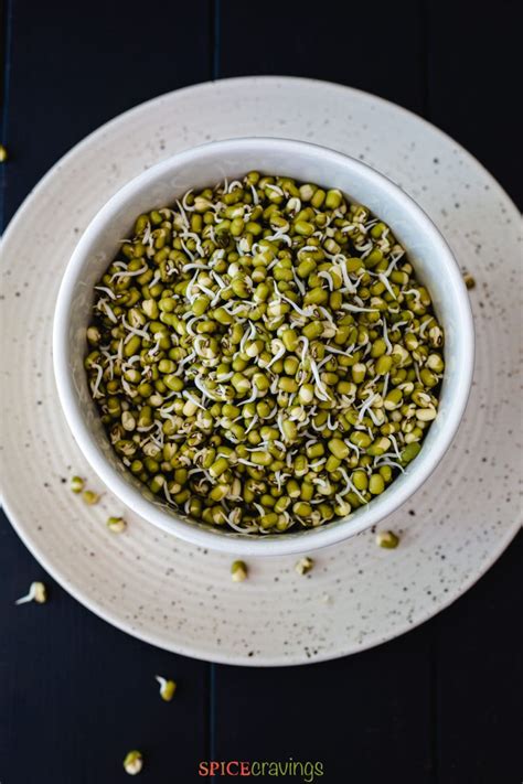 How To Sprout Lentils Spice Cravings