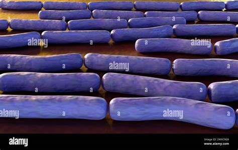 Bacillus Anthracis Sporen Fotos Und Bildmaterial In Hoher Auflösung