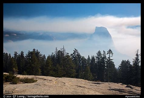 Picturephoto Half Dome With Fog Clearing From Sentinel Dome Yosemite