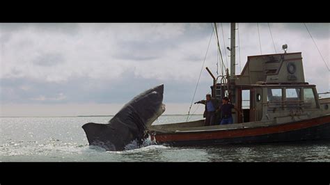 New On Netflix: Jaws, Jaws, Jaws, and Jaws. It's Jaws! - Luddite Robot