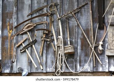 Human Skulls Traditional Longhouse Near Batang Stock Photo