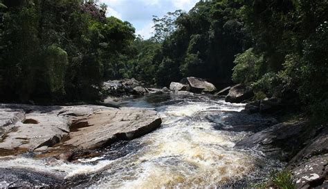 O Que Fazer Em Mogi Das Cruzes Dicas Gerais Onde Visitar E Onde Ficar