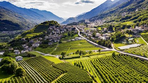 Valtellina, Lombardy - Italian Wine Region