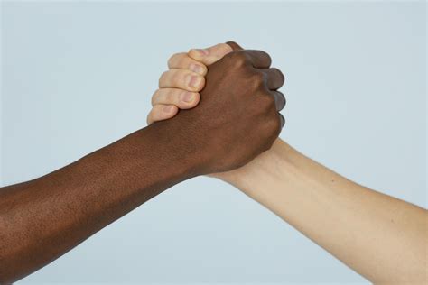 Alesp Destaca Leis De Combate Ao Racismo E Preconceito No M S Da