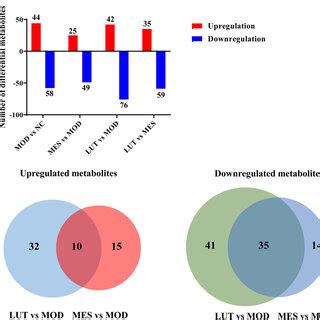 Analysis Of Differential Metabolites In Serum Of UC Rats A Number Of