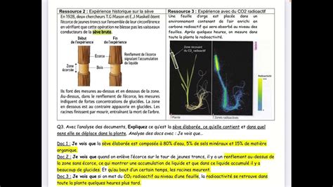 Activit Stockage Mati Re Organique Et S Ve Labor E Youtube