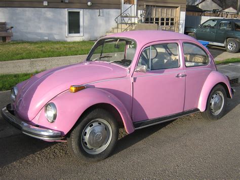 Everything You Need To Know About The Vw Beetle