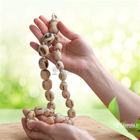 Beads Original Tulsi Japa Mala Mm Bead Size Tulsi Mala