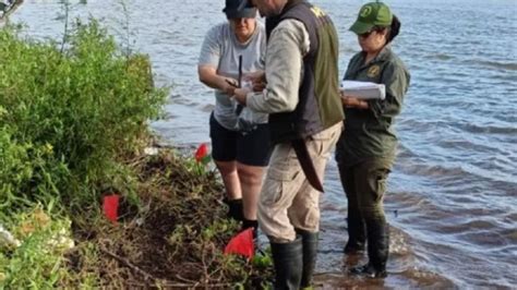 Por la bajante del Paraná encuentran extraños fragmentos cerámicos en