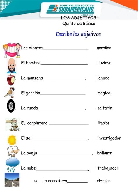 Los Adjetivos Online Pdf Worksheet Live Worksheets