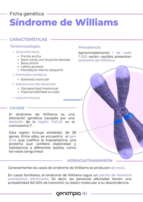 Fichas Genéticas Síndrome De Williams Genotipia