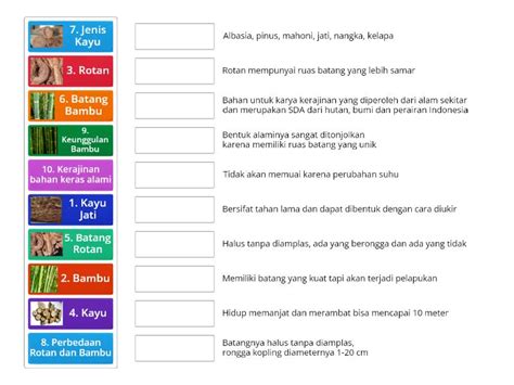 Jenis Dan Karakteristik Kerajinan Bahan Keras Alami Match Up