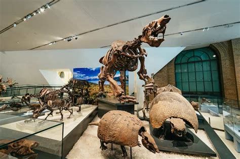 Toronto: Royal Ontario Museum Admission Ticket | GetYourGuide