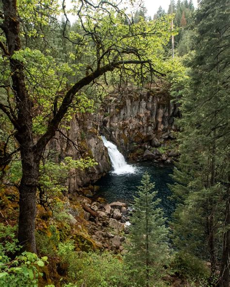 4 Incredible Mount Shasta Waterfalls - Lita of the Pack