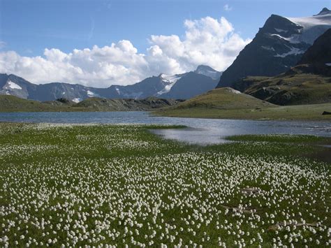 3 6 Milioni Per Il Futuro Del Parco Nazionale Gran Paradiso Parco