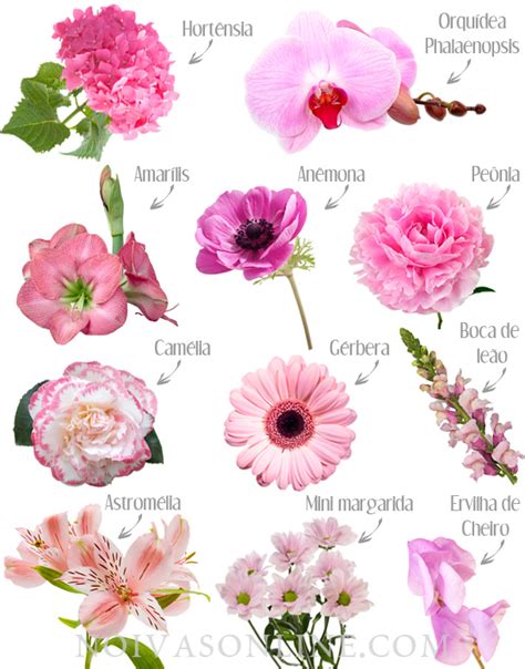 Flores Cor De Rosa Para Decora O De Casamento