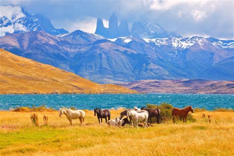 15 Mejores Tours De Argentina El Turista Loco Bookineo