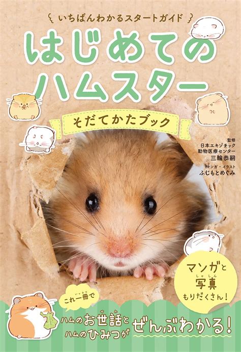 今ならほぼ即納！ ハムスターのかいかたそだてかた かわいいハムスターの飼い方 セット まとめ売り Econetbi