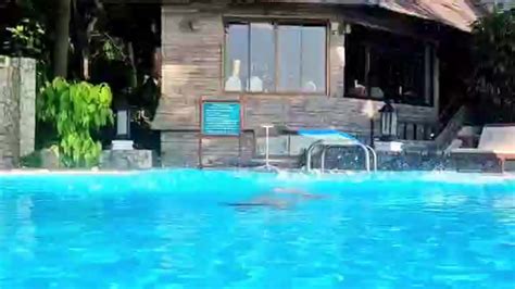 Siesta Key S Sex Videos Recorded Cam Shows Stripchat