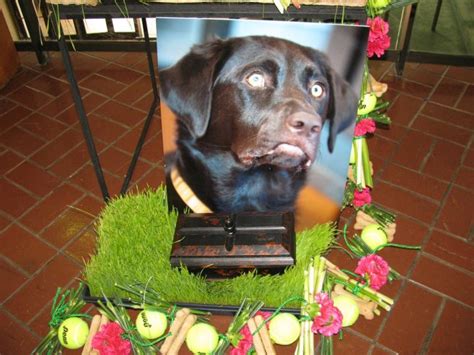 Pet Funeral Flowers to Memorialize Fido - Bloomin' Blog