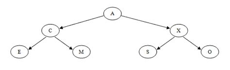 Binary Trees Overview