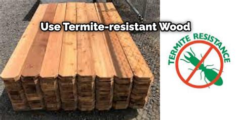 How To Store Firewood To Avoid Termites Useful 10 Ways 2024